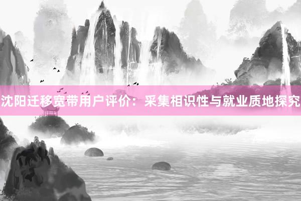 沈阳迁移宽带用户评价：采集相识性与就业质地探究